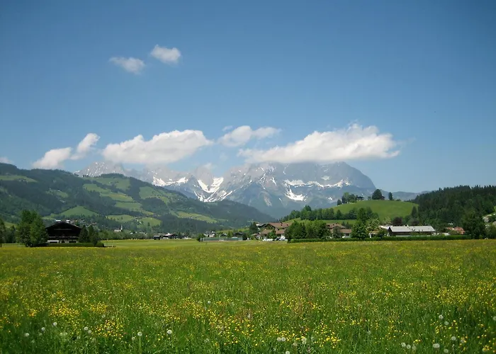 Feller * Reith bei Kitzbühel